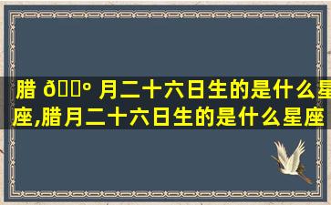 腊 🌺 月二十六日生的是什么星座,腊月二十六日生的是什么星座的人